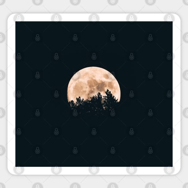 Halloween Moon rise over forest Sticker by MerchFrontier